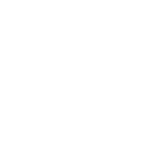 STEK DYNO